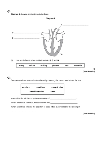 Biology exam paper with marking